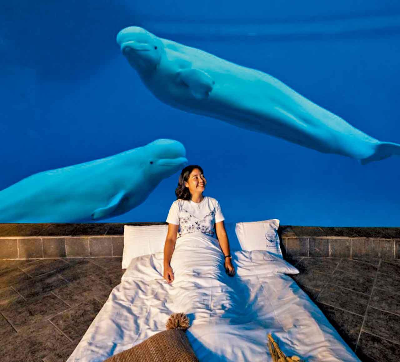 上山消暑下海清涼 今夏逃離香港 感受台灣微笑盛夏