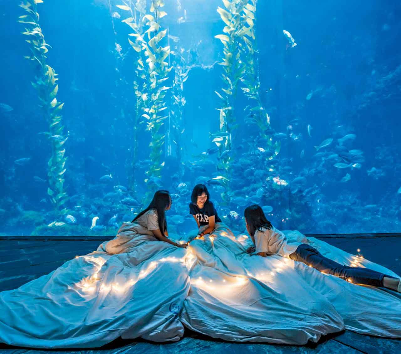 上山消暑下海清涼 今夏逃離香港 感受台灣微笑盛夏