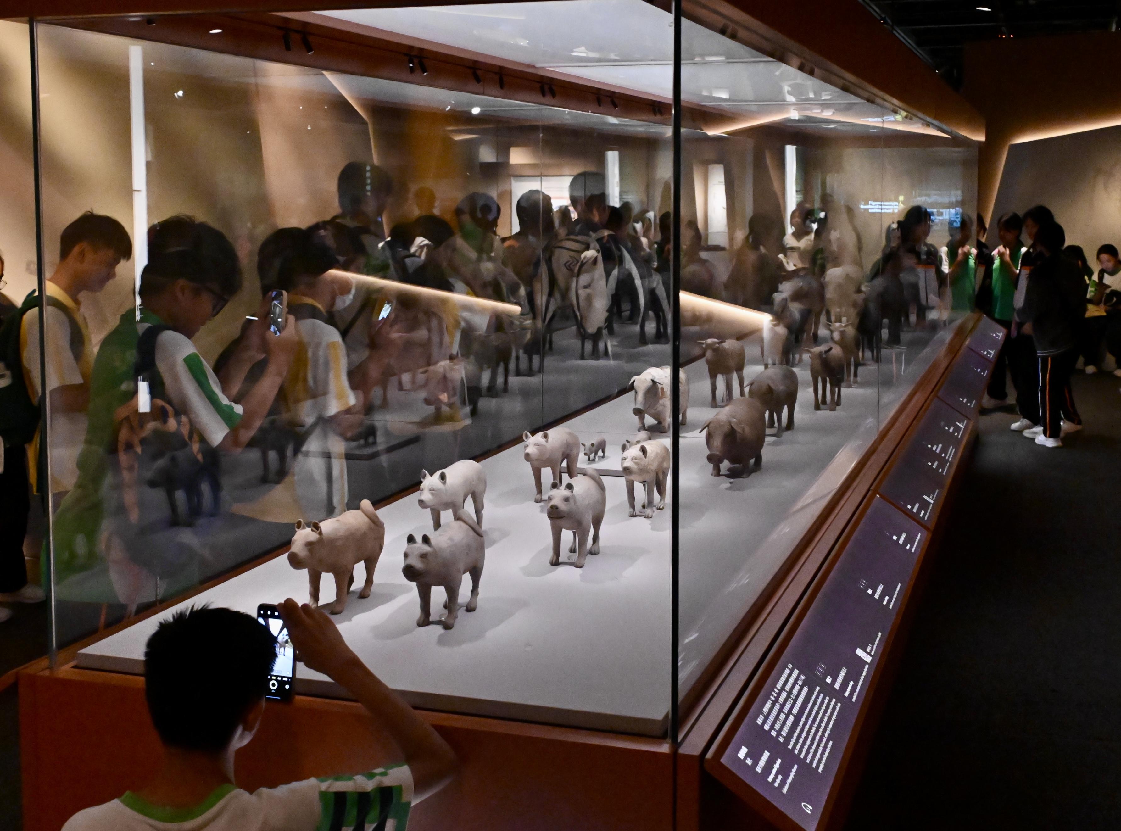 香港歷史博物館正舉行「香港賽馬會呈獻系列:天下一統—陝西秦漢文明展」。