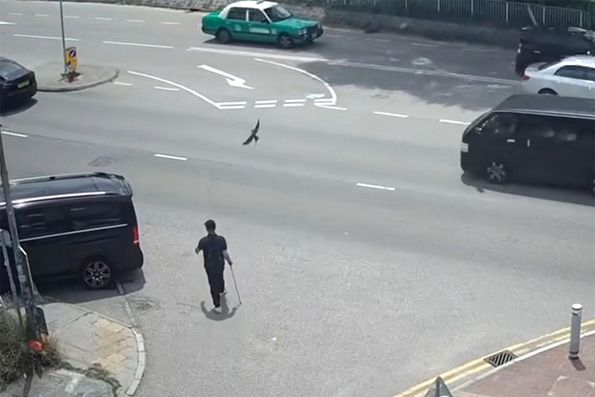 片段顯示,一名手持拐杖但步履靈活的男子,沿小路步行至路口。(網民Johnny Cheung@FB群組「車cam L(香港群組)」)