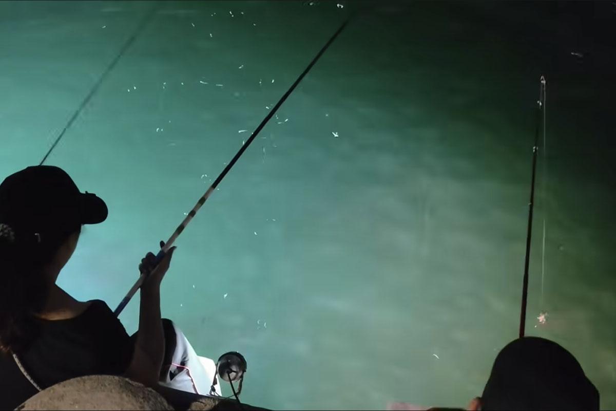 從現場片段所見,釣友們在短短1分鐘已經釣到4條魷魚。(FB群組「將軍澳主場」)