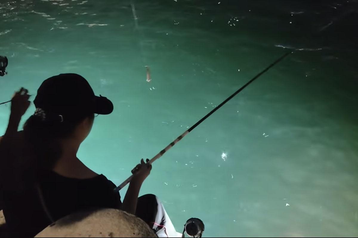 從現場片段所見,釣友們在短短1分鐘已經釣到4條魷魚。(FB群組「將軍澳主場」)