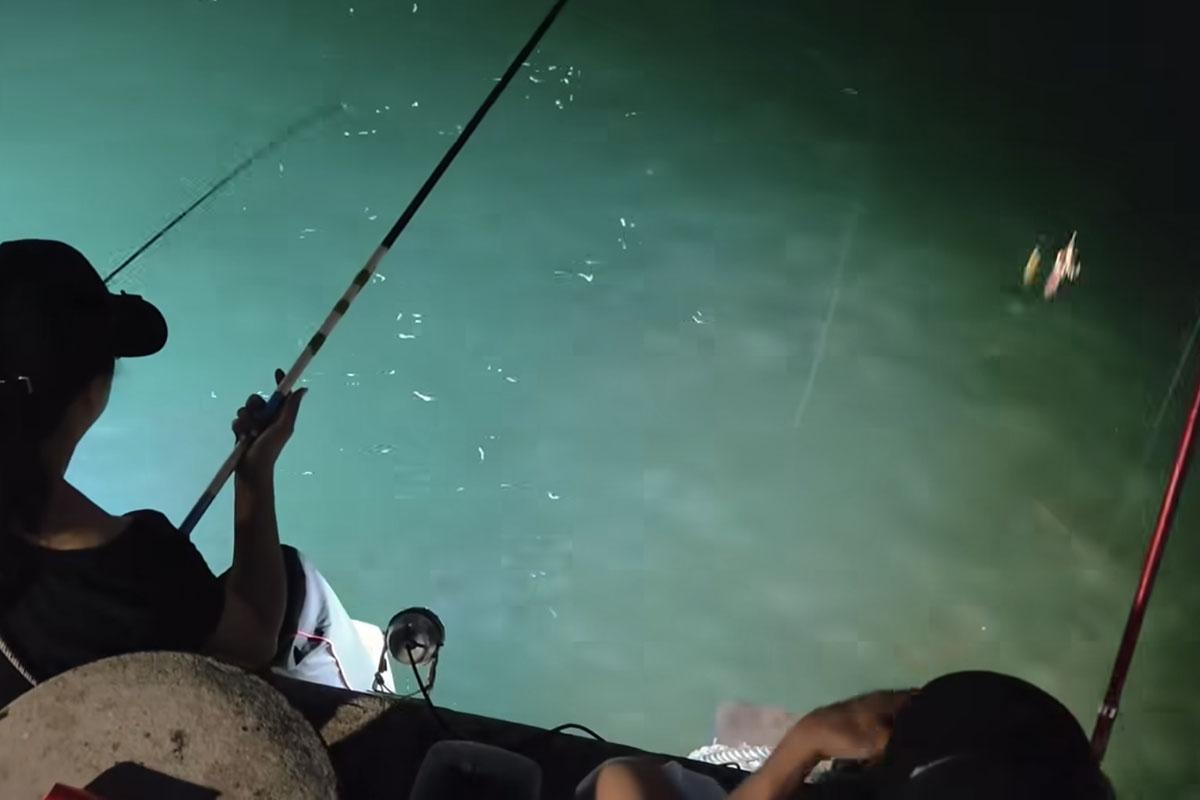 從現場片段所見,釣友們在短短1分鐘已經釣到4條魷魚。(FB群組「將軍澳主場」)