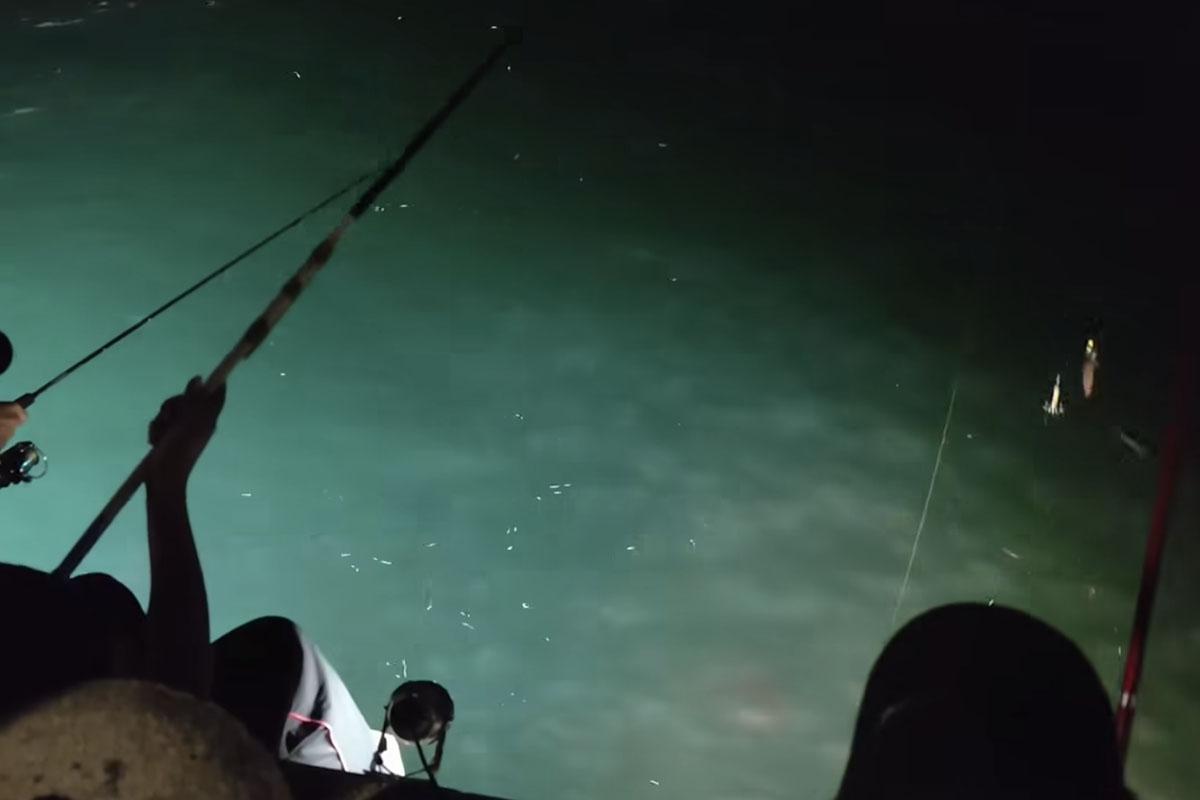 從現場片段所見,釣友們在短短1分鐘已經釣到4條魷魚。(FB群組「將軍澳主場」)