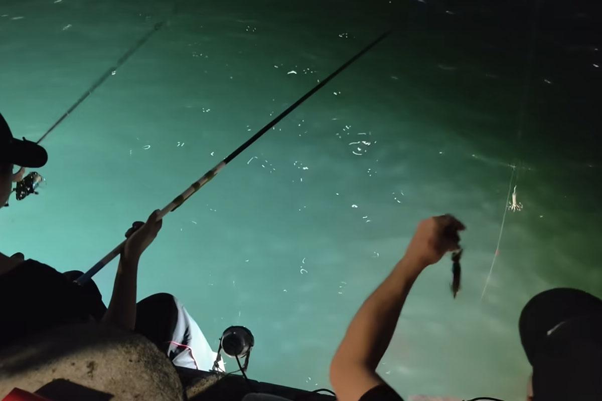 從現場片段所見,釣友們在短短1分鐘已經釣到4條魷魚。(FB群組「將軍澳主場」)