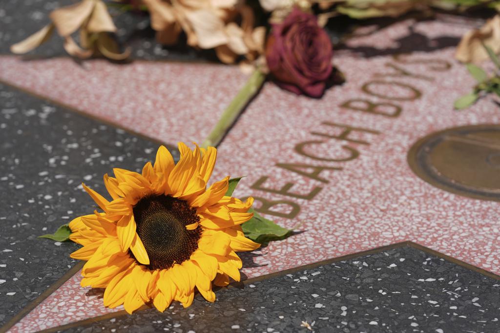 不少Brian Wilson樂迷在星光大道上悼念他。(美聯社)