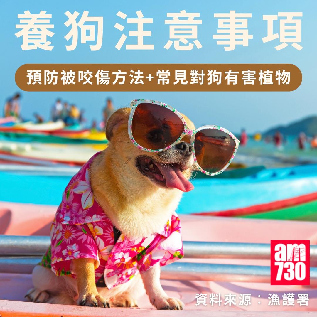 養狗注意事項|預防被咬傷方法+常見對狗有害植物(am730製圖)