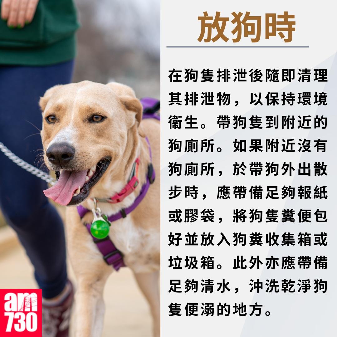 養狗注意事項|放狗時(am730製圖)