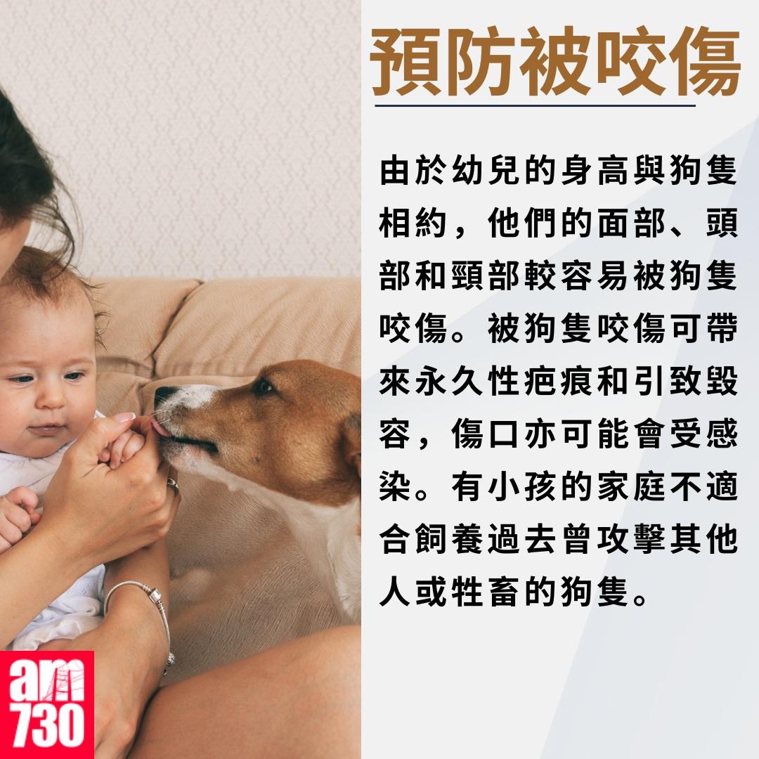 養狗注意事項|預防被咬傷(am730製圖)