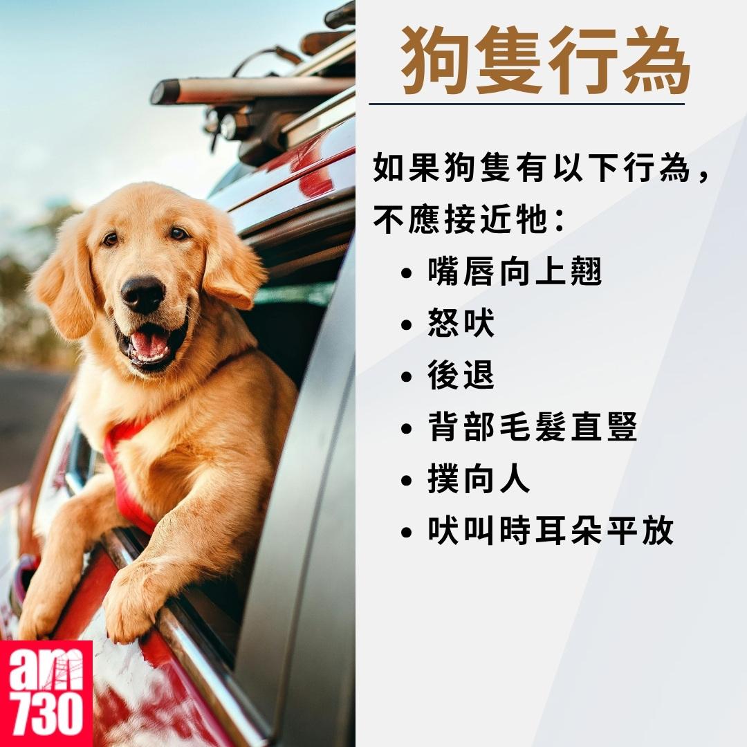 養狗注意事項|狗隻行為(am730製圖)
