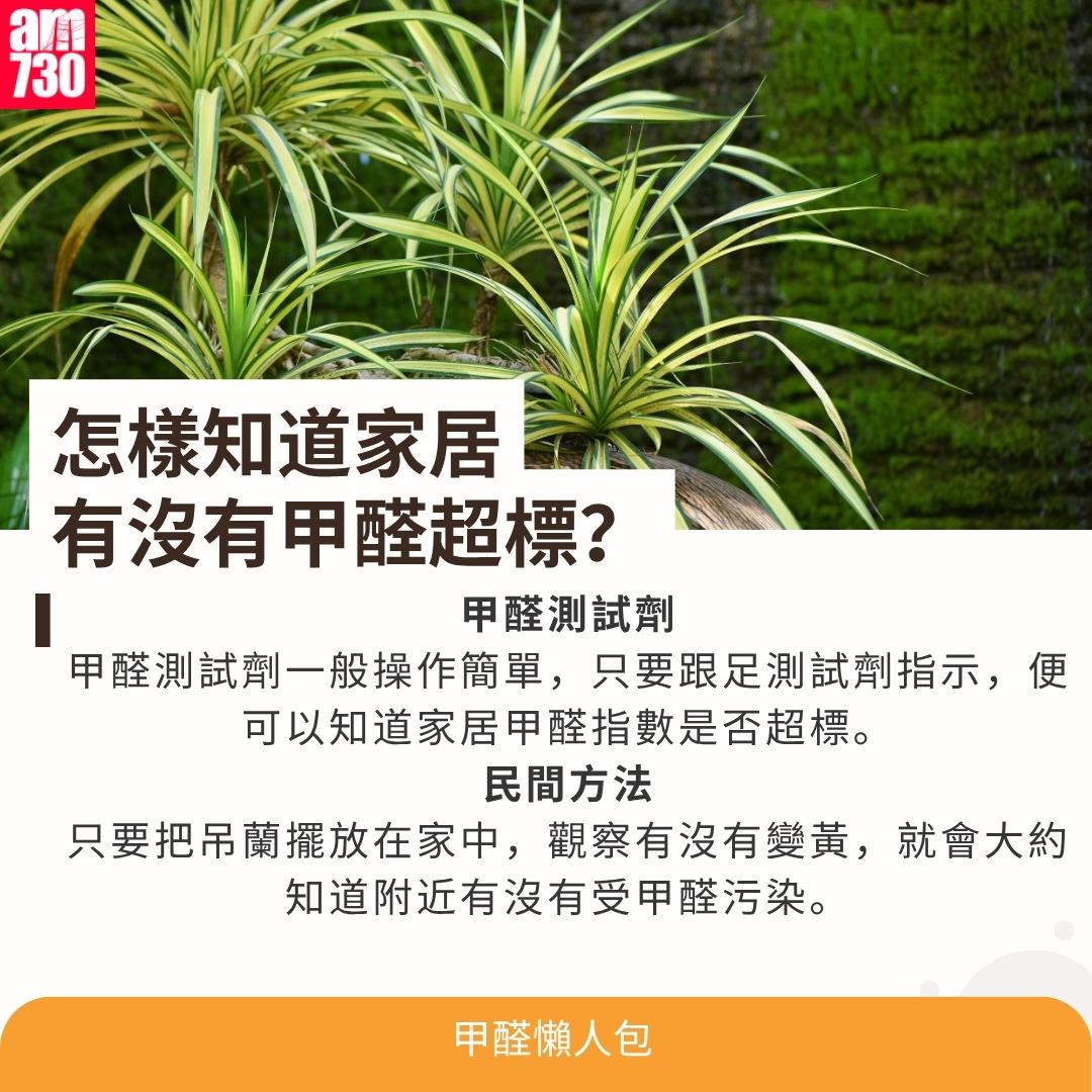 甲醛是甚麼?怎樣知道家居 有沒有甲醛超標?(am730製圖)