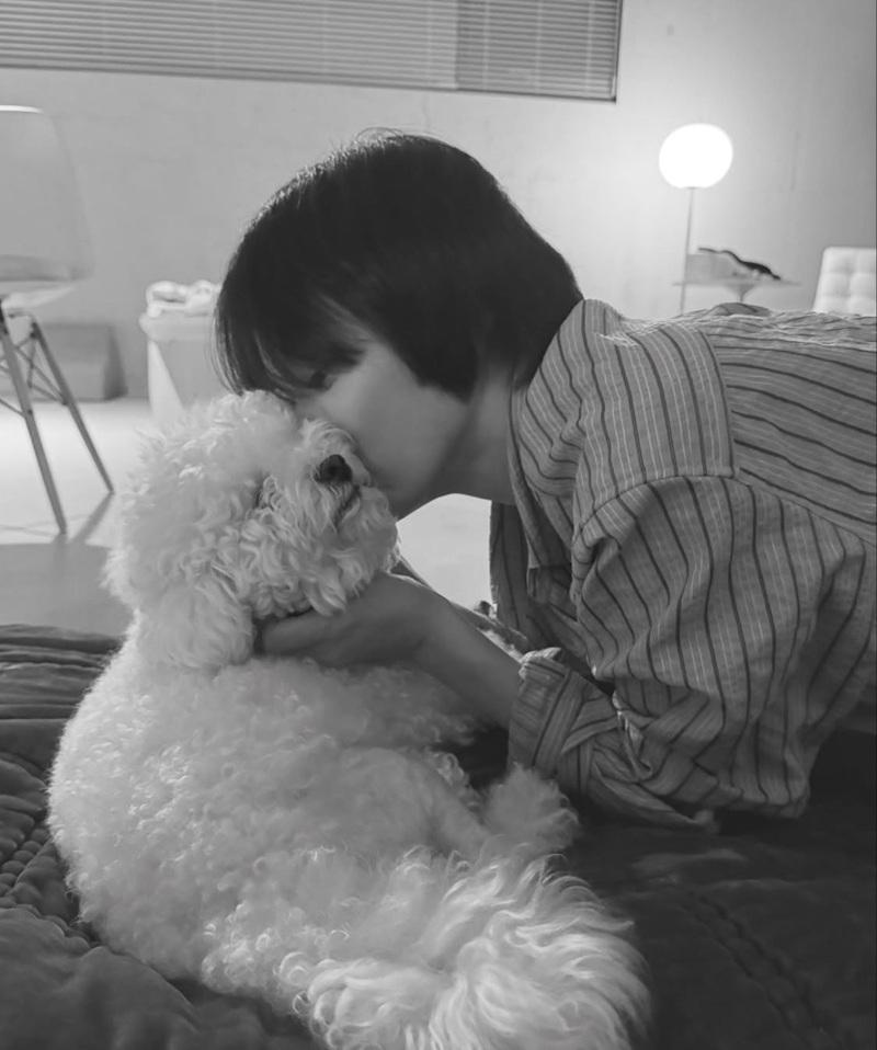 多張狗狗相中,這張超級暖心。