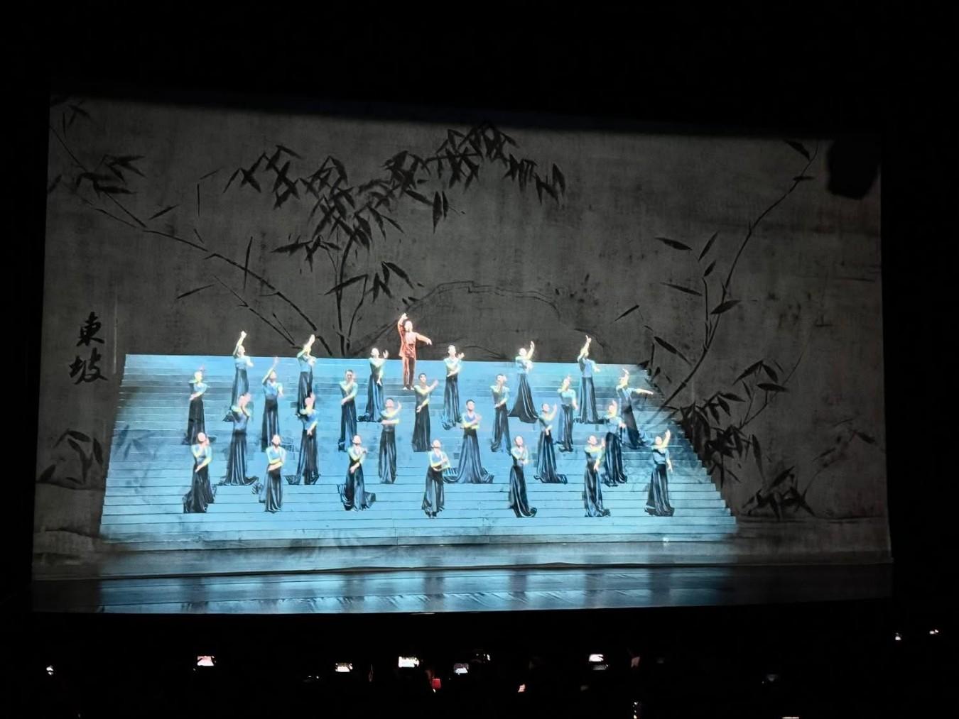 《詩憶東坡》為何引起爭議?