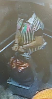 屯門56歲女子徐垚玲失蹤。(警方圖片)