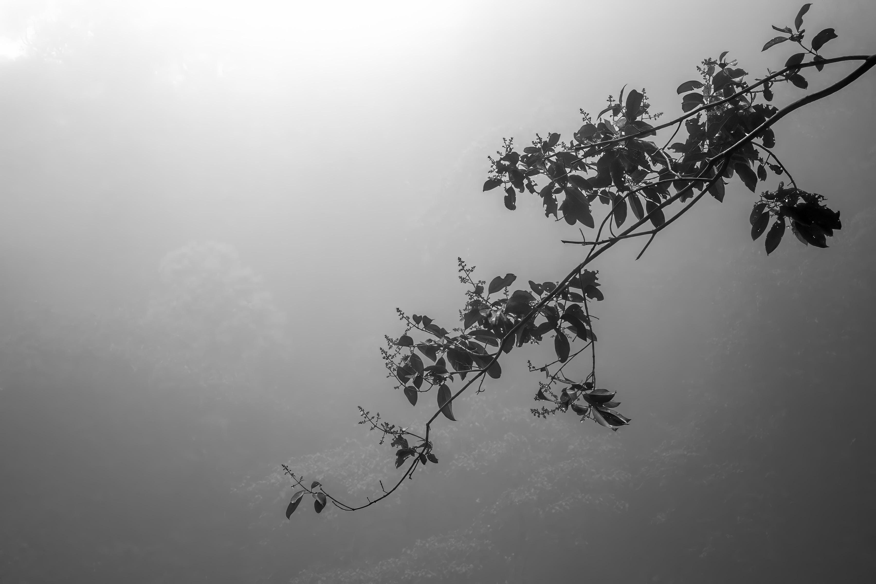 何居怡攝影作品《Untitled 3》。