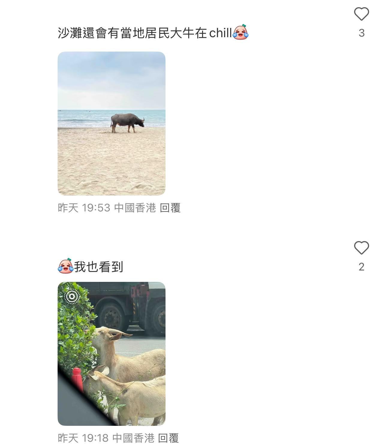 圖片來源:小紅書