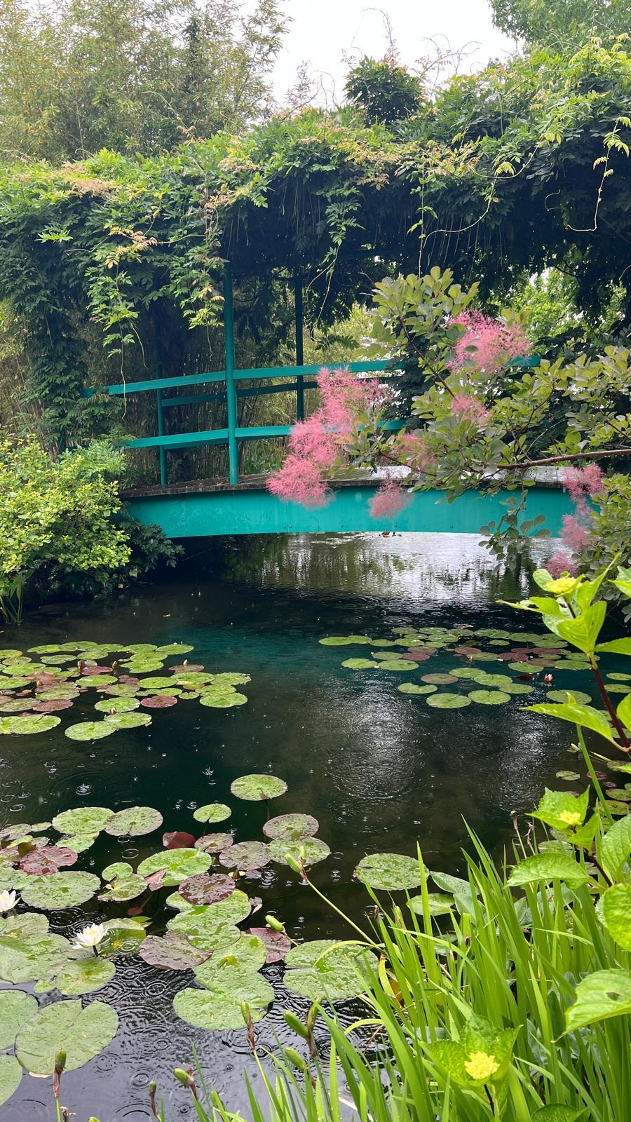 日本也有「莫內花園」