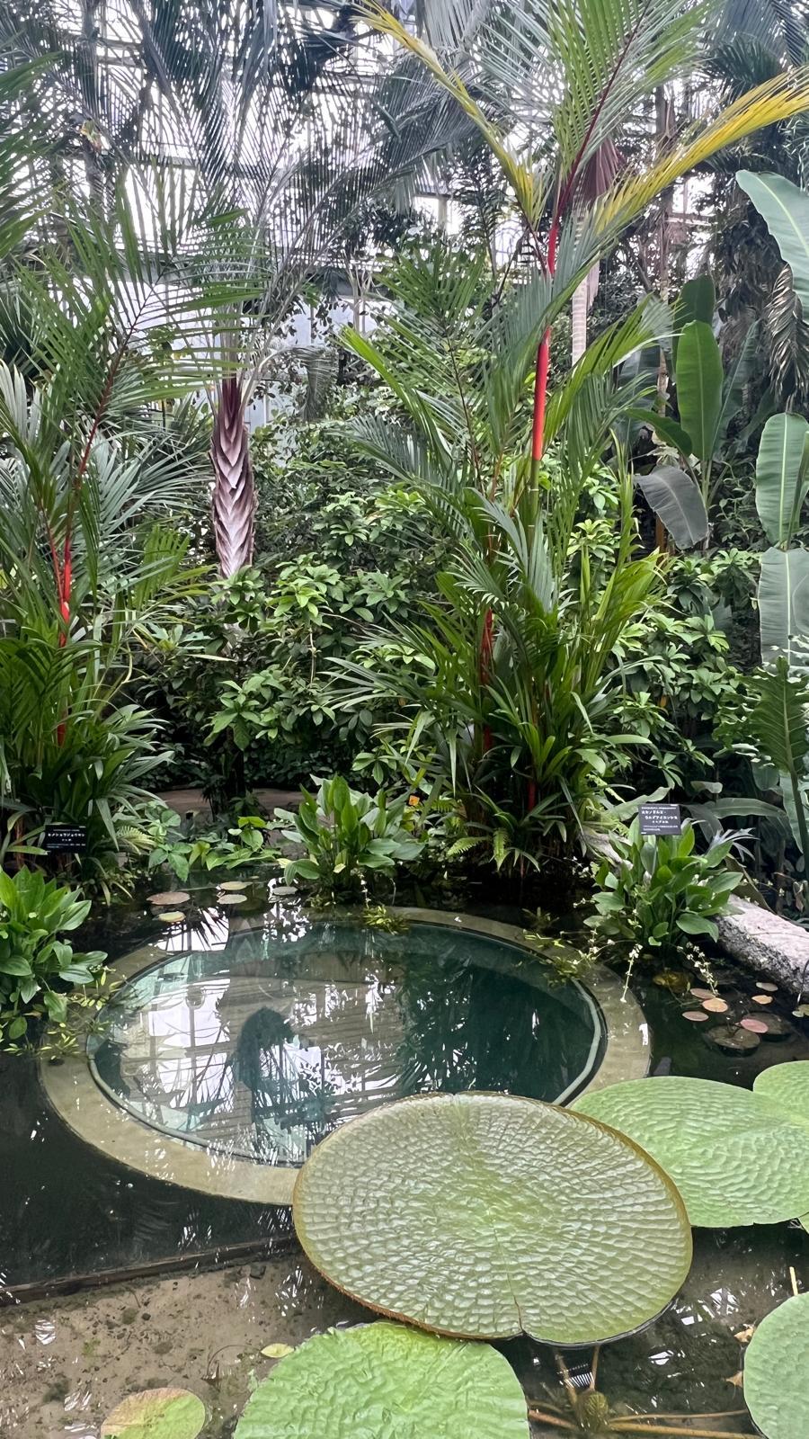 高知縣立牧野植物園