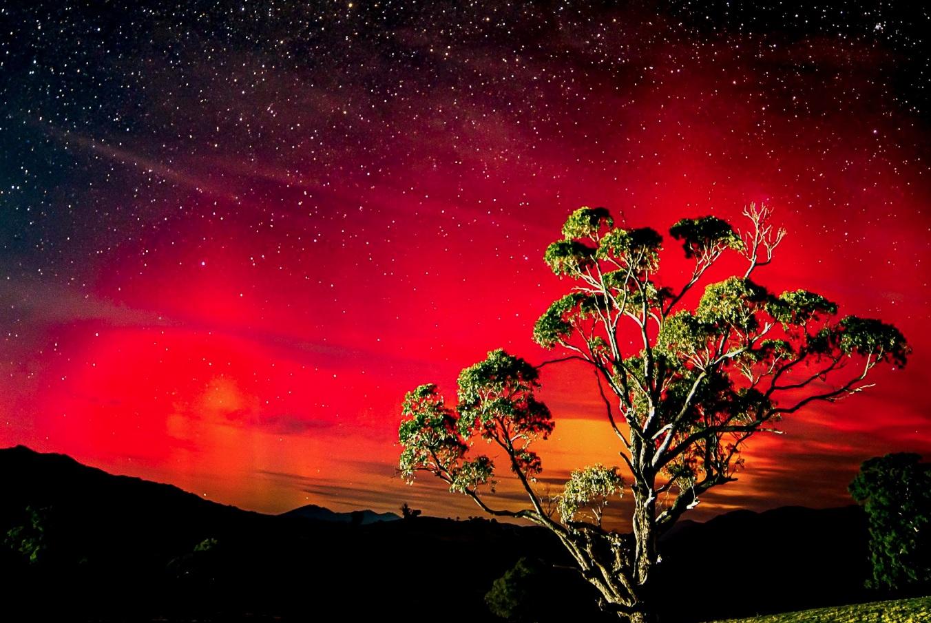 網民分享澳洲坎培拉極光美景。(互聯網)