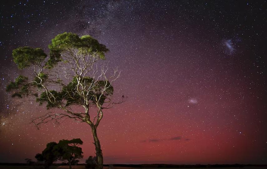 網民分享澳洲袋鼠島極光。(互聯網)
