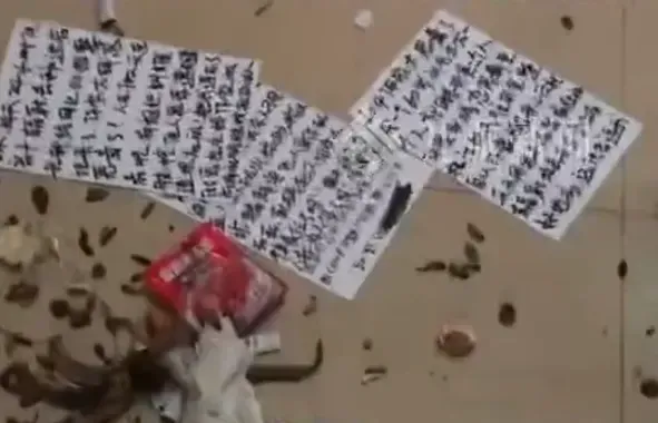 劉女稱遭到樓下疑似精神障礙者的鄰居長期騷擾。(圖/翻攝自《九派新聞》)