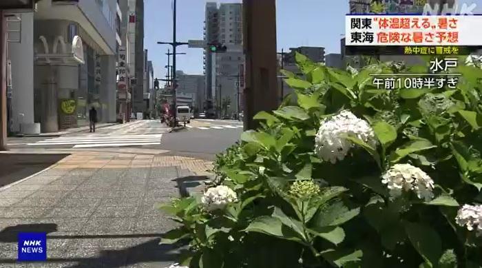 茨城縣水戶市早上陽光猛烈。(互聯網)