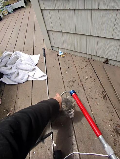 德巴克慢慢鬆開夾子,讓小貓脫身。(互聯網)