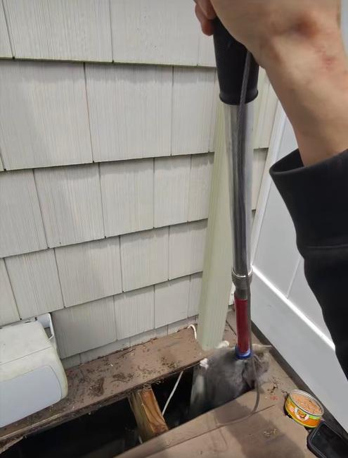 德巴克用夾子把小貓慢慢夾出。(互聯網)