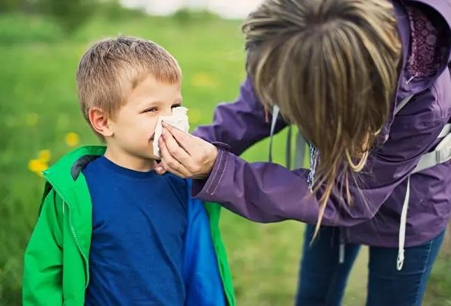 隨著氣候變化導致花粉季更長,花粉爆發更嚴重,聯合國專家警告,對花粉或植物過敏的人數恐大增。(互聯網)