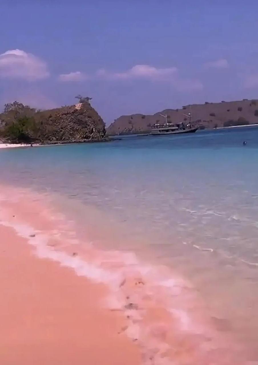 印尼科莫多國家公園的粉紅沙灘。(互聯網)