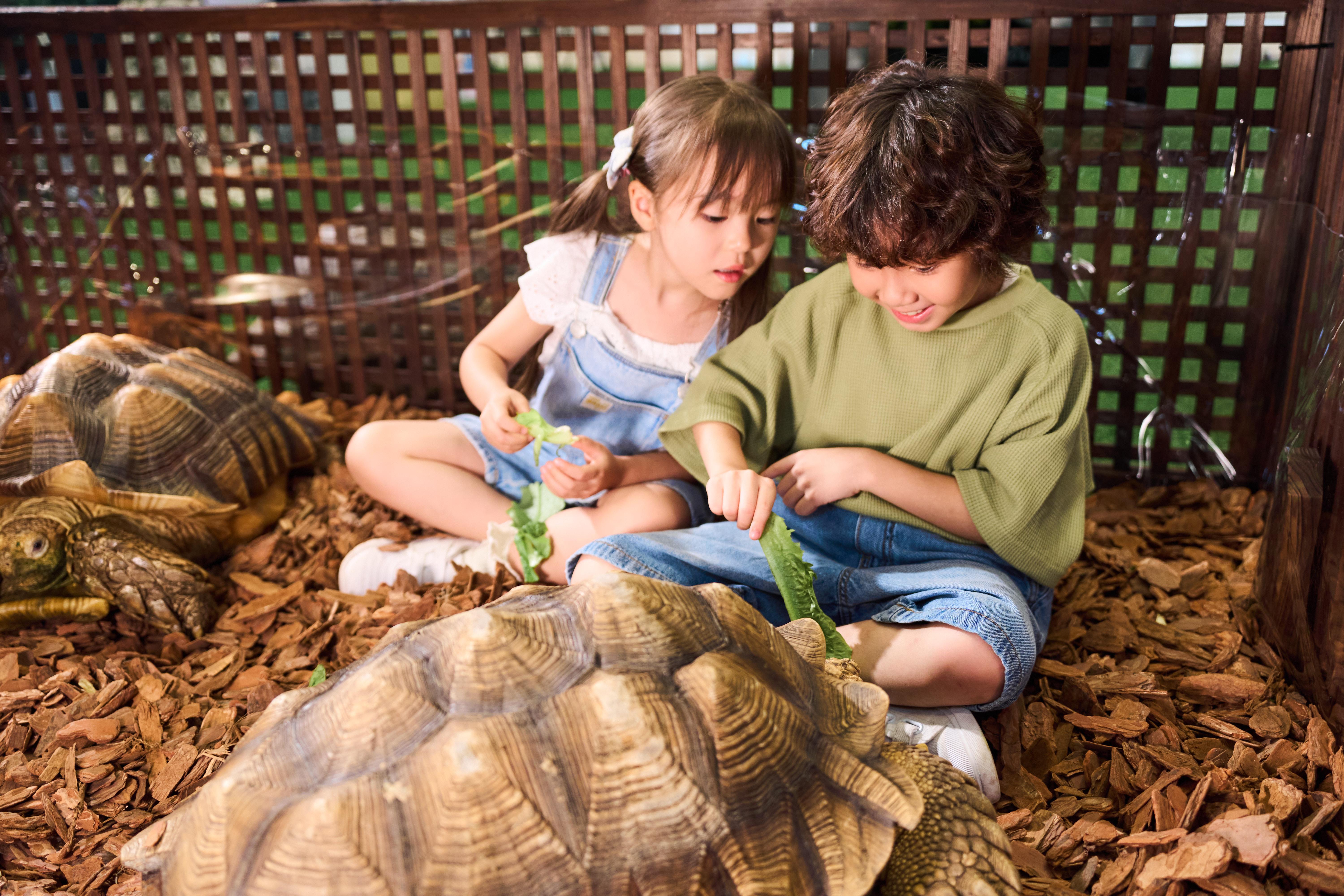 「互動異寵樂園」 與異寵接觸互動