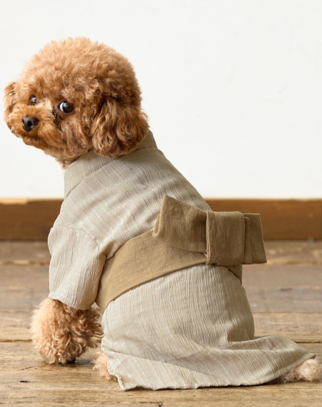 小型犬浴衣 日本參考售價:¥880 香港售價:$48