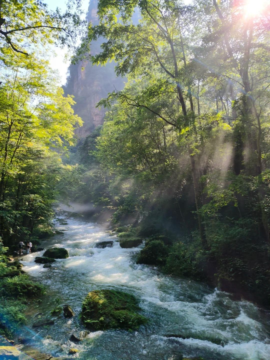 金鞭溪蜿蜒於張家界國家森林公園東部,串聯起袁家界與黃石寨兩大景區,是武陵源景區的翡翠脈絡。(圖片來源:小紅書)