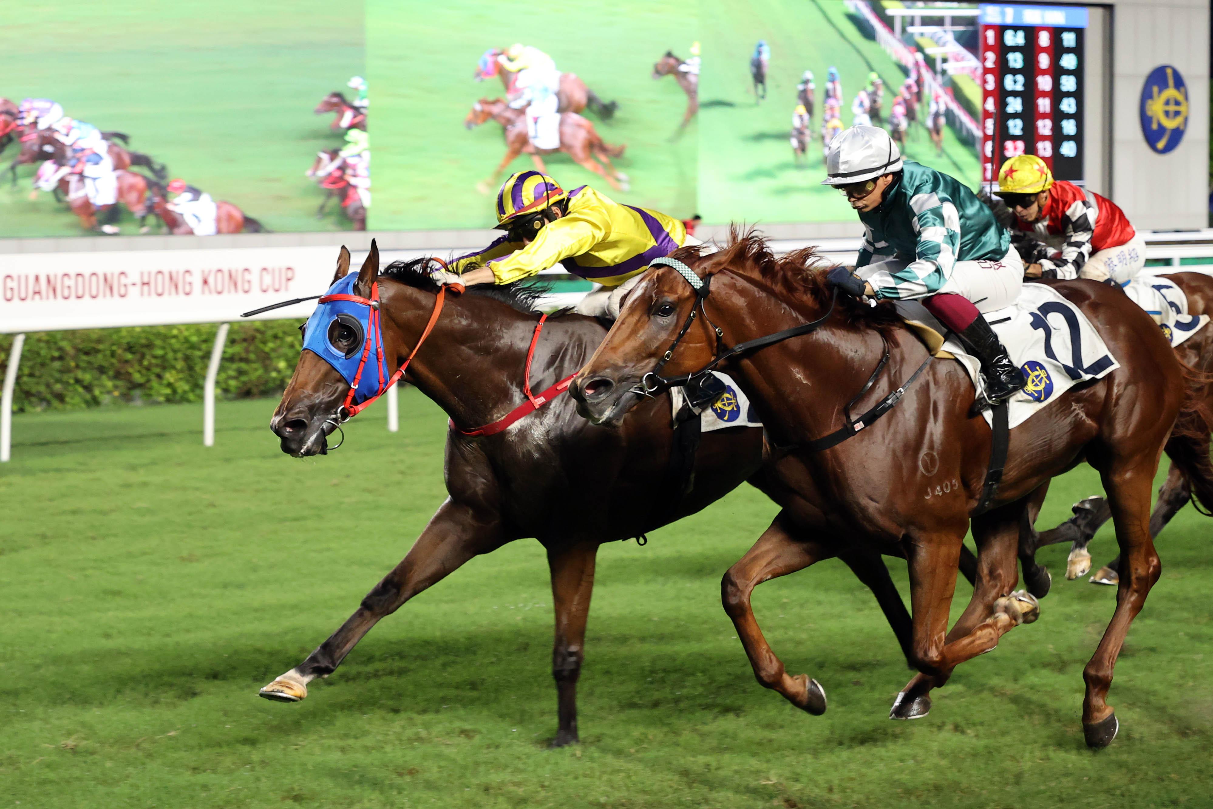 文家良訓練、黃智弘策騎的「英雄豪傑」(黃紫帽),勇奪粵港盃