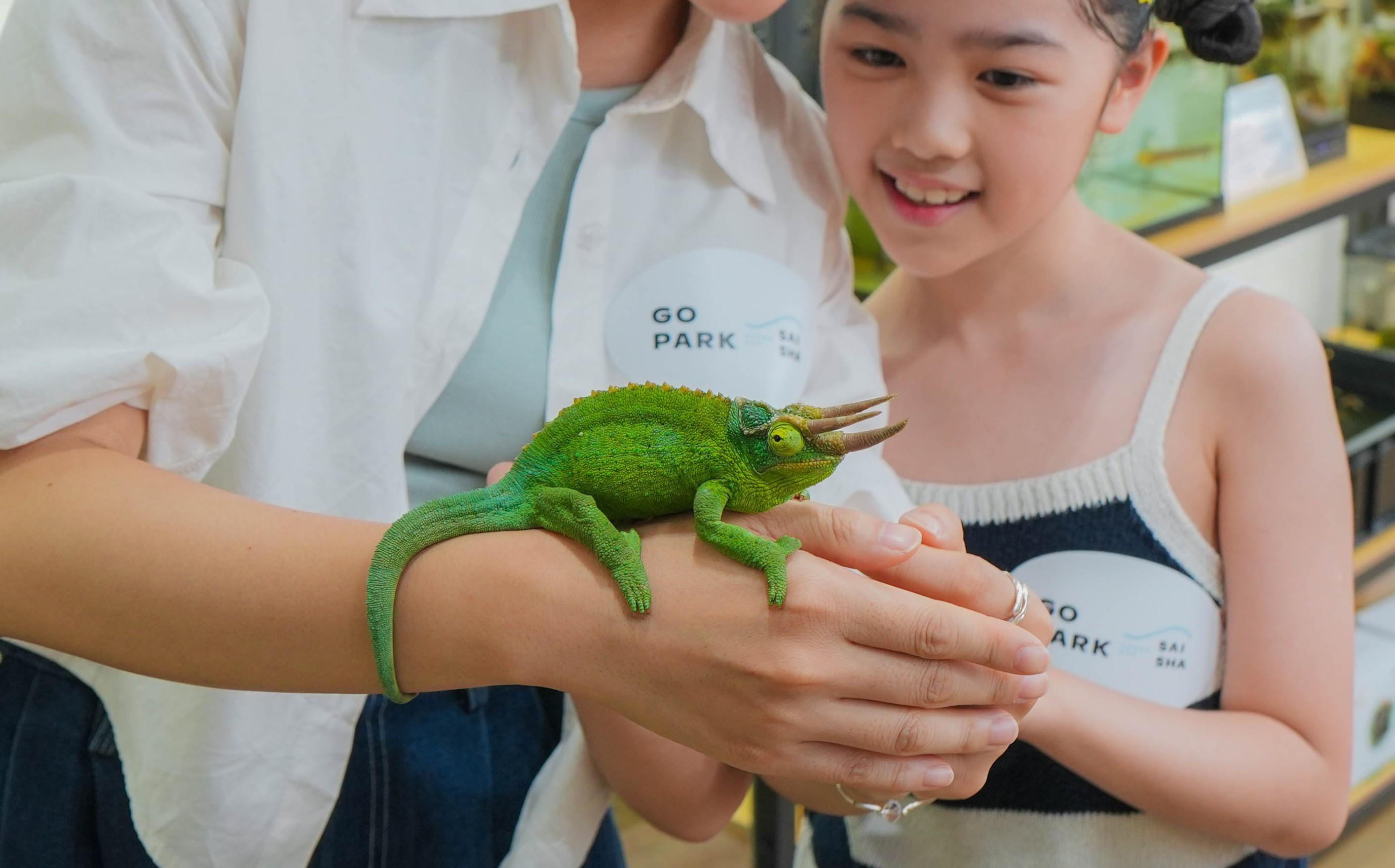 西沙GO PARK帶來充滿樂趣與學習的「GO PARK小小學院」!由7月中旬起,聯同場內5大商戶Be Plus、JUST CLIMB、PizzaExpress、Rainbow Creative Arts及 森流GreenFlow ,推出一系列體驗工作坊,讓小朋友感受各種行業及運動的樂趣!