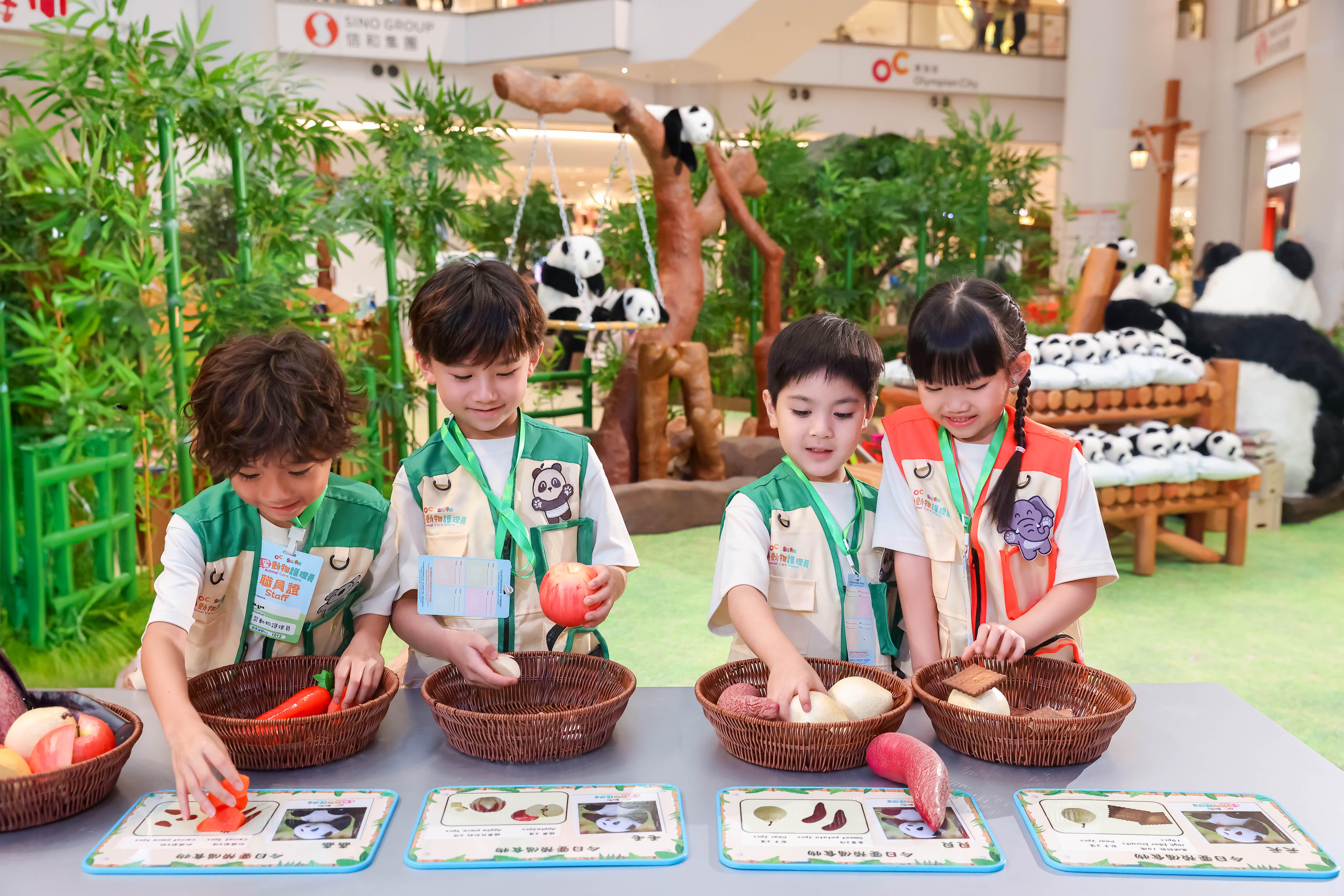 熊貓竹林 - 準備符合熊貓營養需求的膳食