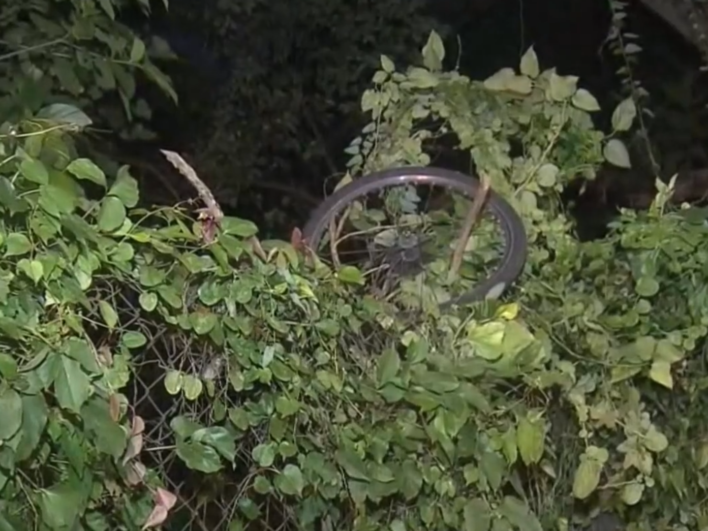 現場可見涉事單車車身變形,車輪飛脫到路邊草叢。地上遺留假牙、血跡、一個車牌及奧迪私家車標誌。(now新聞台畫面)