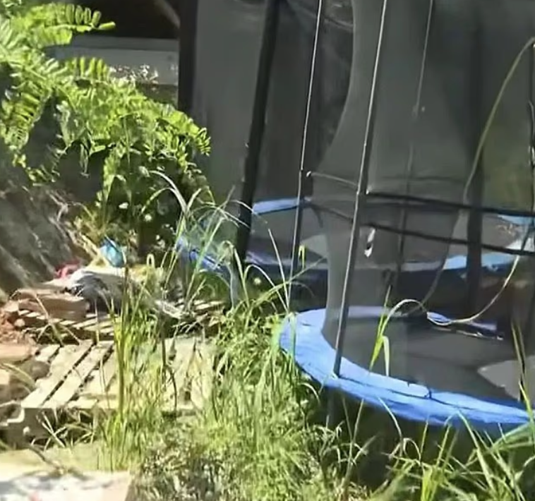 涉事農場。(互聯網)