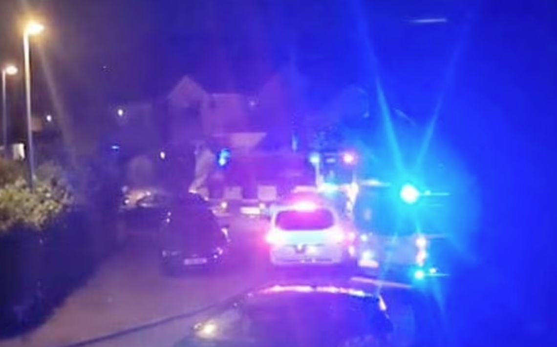 屋主以為只租給8人,怎料當晚有多達200人到場。(互聯網)