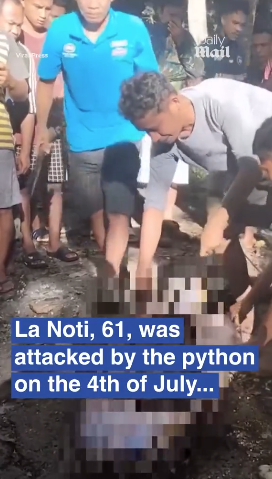 8.5米長蟒蛇肚脹脹 村民剖腹挖出失蹤男村民(有片慎入)