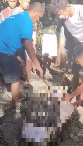 8.5米長蟒蛇肚脹脹 村民剖腹挖出失蹤男村民(有片慎入)