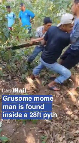 8.5米長蟒蛇肚脹脹 村民剖腹挖出失蹤男村民(有片慎入)