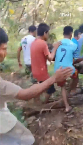 8.5米長蟒蛇肚脹脹 村民剖腹挖出失蹤男村民(有片慎入)