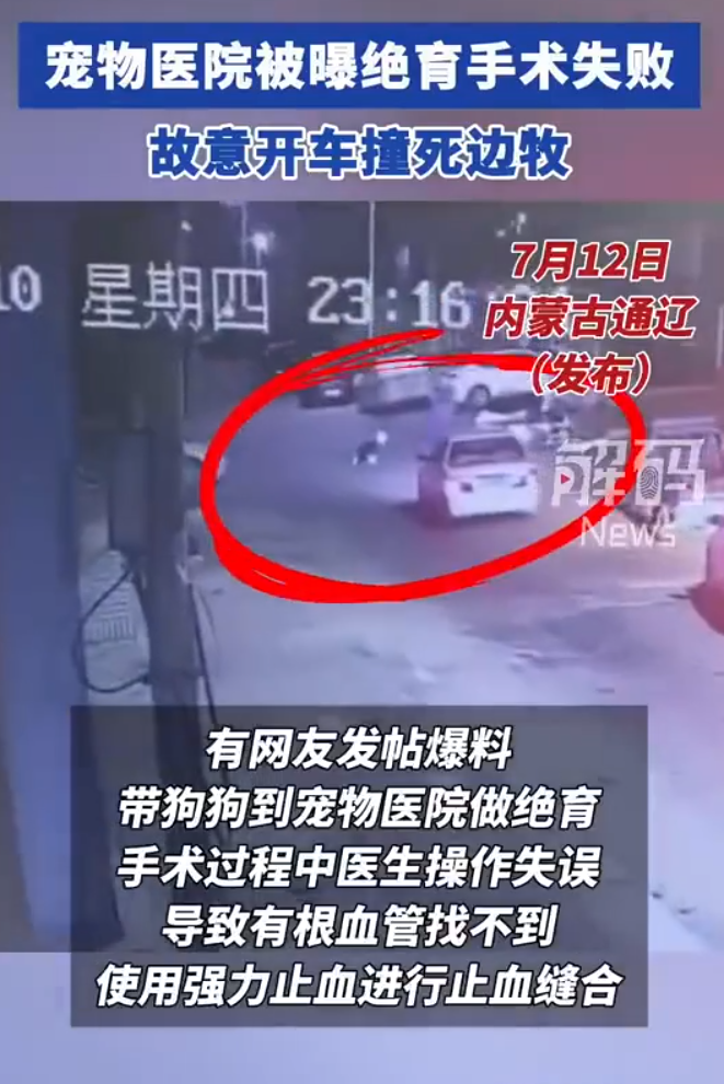 於是飼主到附近店家索取事發期間的監視器畫面,這才發現是寵物醫院故意找人開車撞死愛犬。