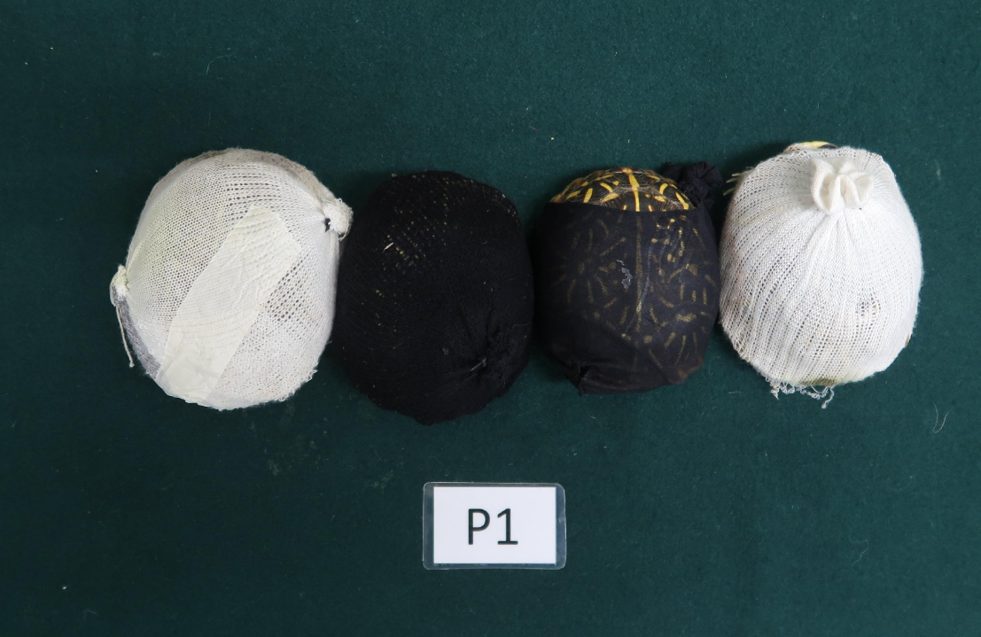 漁護署確認該批活龜屬《瀕危野生動植物種國際貿易公約》所列明的瀕危物種。海關圖片