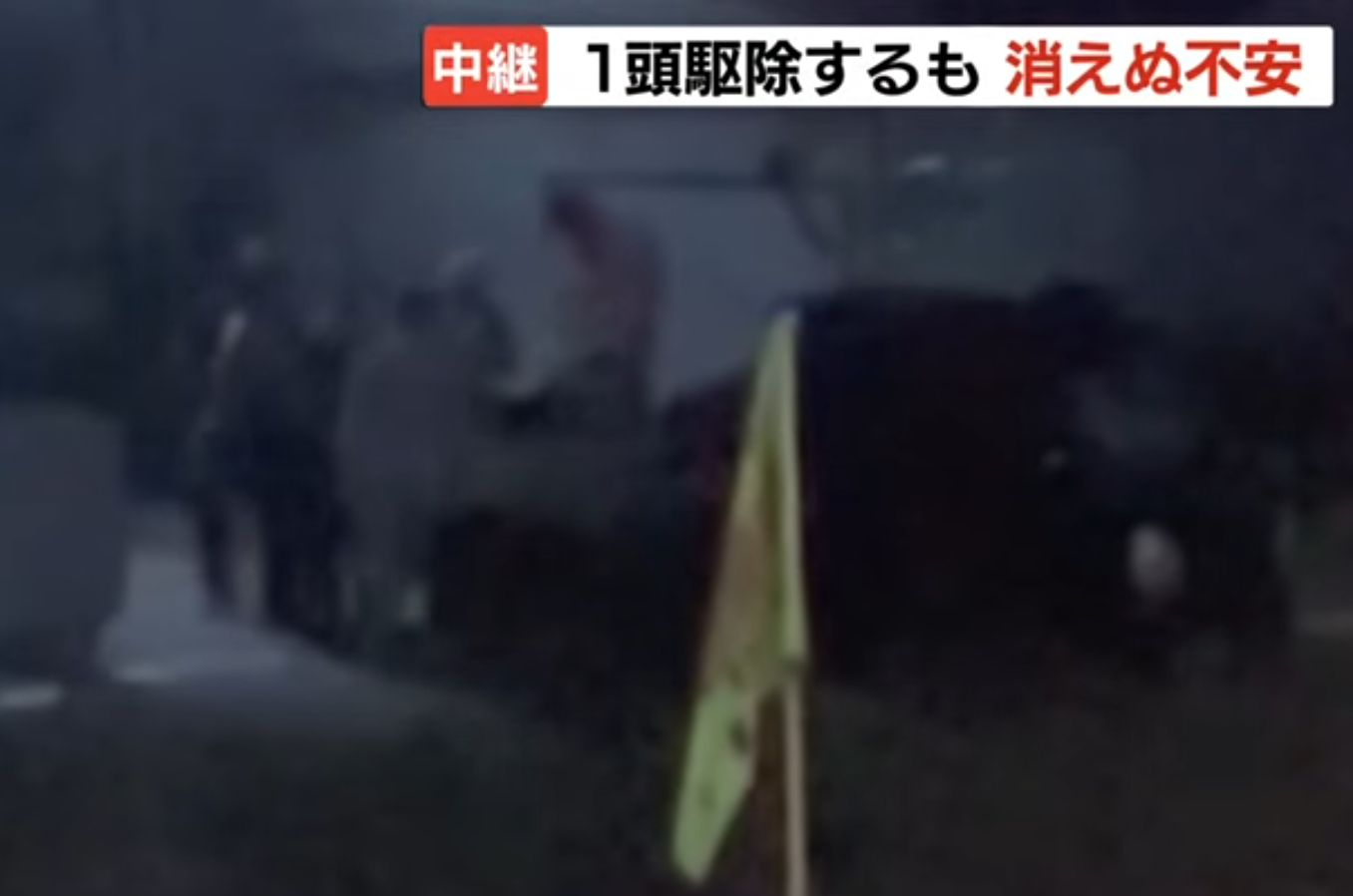 日本北海道撲殺懷疑殺害派報員的棕熊。(HTB新聞截圖)