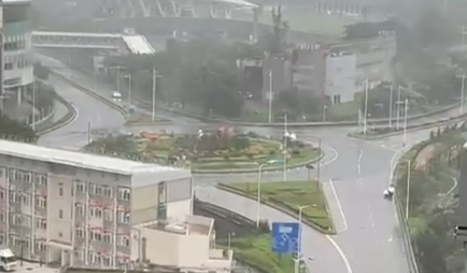 颱風韋帕|十號風球動物逃脫? 元朗有恐龍下雨狂奔 將軍澳「熊貓」將軍澳追風|網上熱話 (@Threads網上影片截圖)