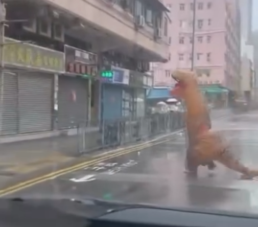 颱風韋帕|十號風球動物逃脫? 元朗有恐龍下雨狂奔 將軍澳「熊貓」將軍澳追風|網上熱話 (@Threads網上影片截圖)