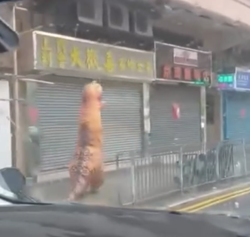 颱風韋帕|十號風球動物逃脫? 元朗有恐龍下雨狂奔 將軍澳「熊貓」將軍澳追風|網上熱話 (@Threads網上影片截圖)