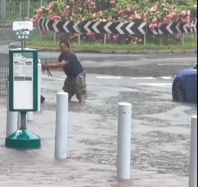 颱風韋帕|有網民享「好人好事」,目擊一名私家車男司機駛經大圍一個迴旋處,落車伸手清走堵塞渠口的雜物,甚至「通埋對面線啲坑渠位先走」。(Threads)